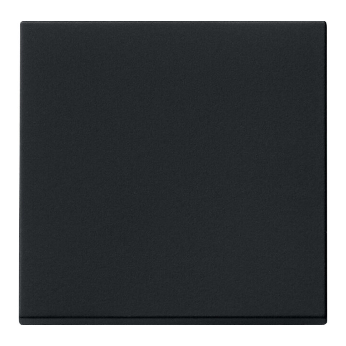 Gira Wippe sw 0296005