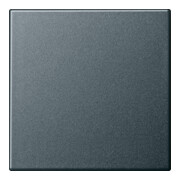 Gira Wippe Wechselsch. anth 029628