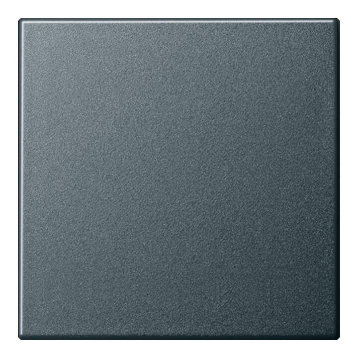 Gira Wippe Wechselsch. anth 029628