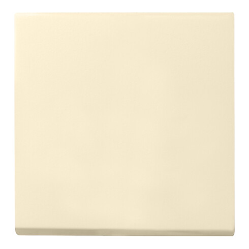 Gira Wippe Wechselsch. cws-gl System55 029601
