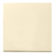 Gira Wippe Wechselsch. cws-gl System55 029601