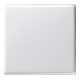 Gira Wippe Wechselsch. rws-gl System55 029603-1