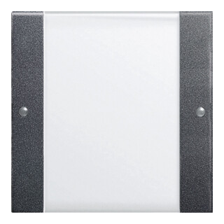 Gira Wippenset 1-fach anth 213128