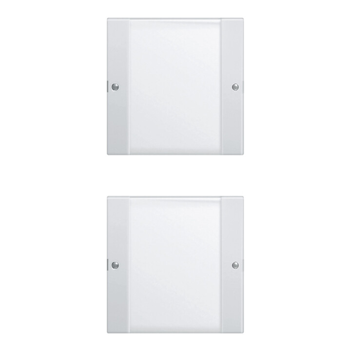 Gira Wippenset 2-fach rws/gl 213203
