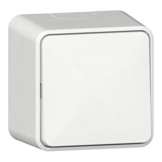 Gira Wippschalter AusWe Montageplatte 10AX 250V Reinweiß Kunststoff