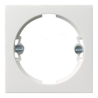 Gira Zentraleinsatz rws-gl f.Lichtsignal 066003