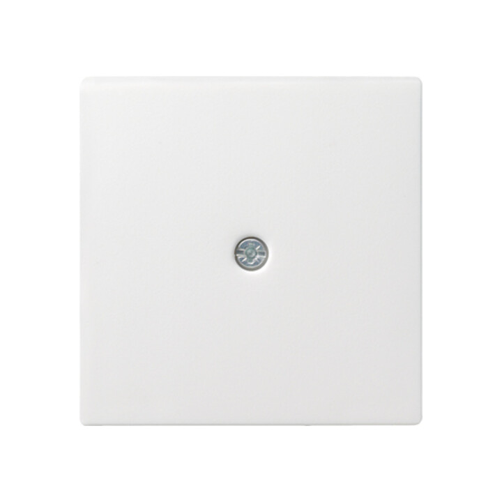 Gira Zentralpl.Schnurabl. rws System55 027427