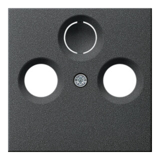 Gira Zentralplatte Antenne anth System55 086928
