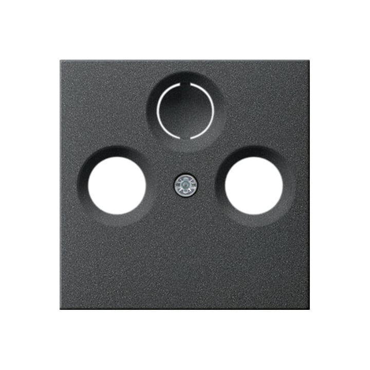 Gira Zentralplatte Antenne anth System55 086928