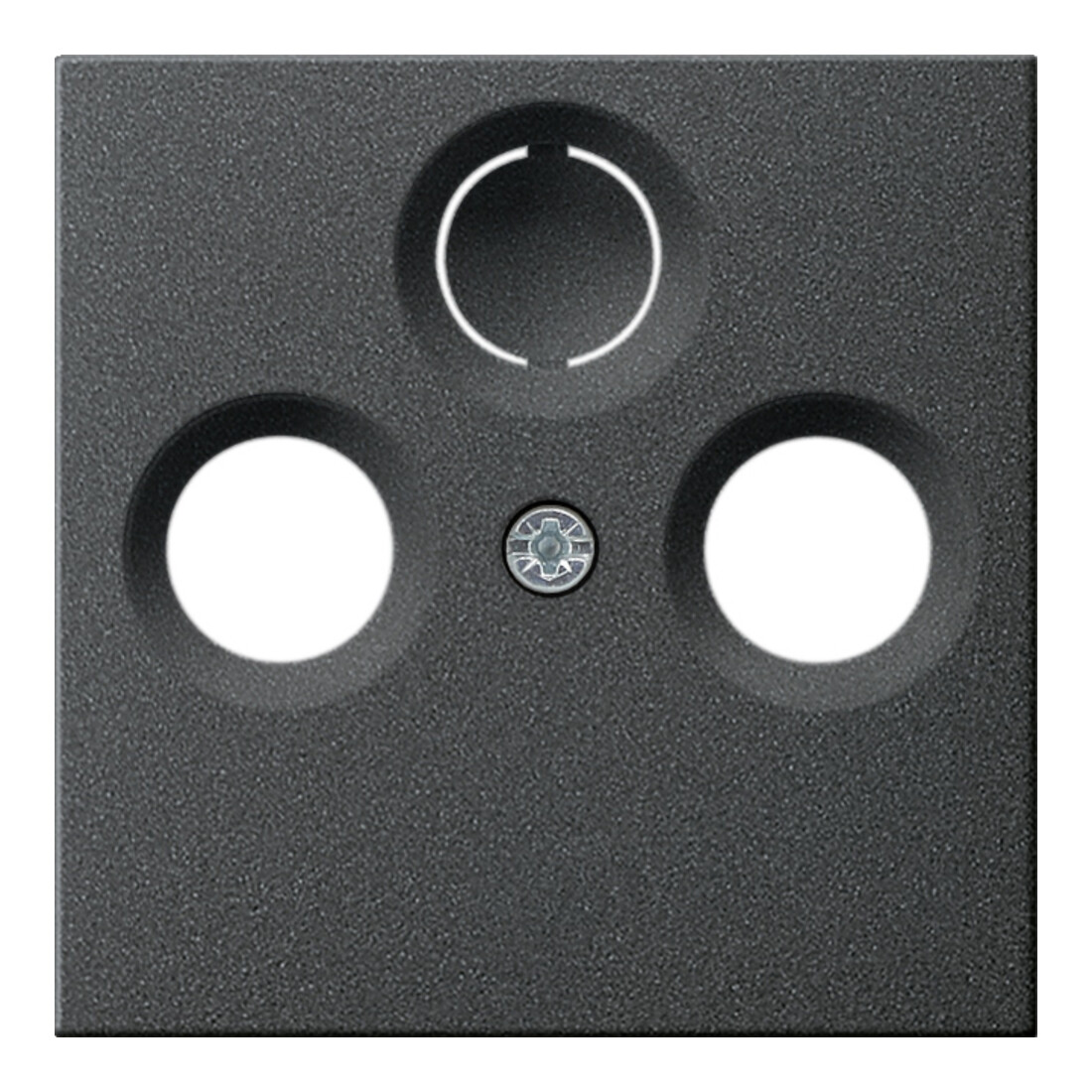 Gira Zentralplatte Antenne anth System55 086928