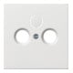 Gira Zentralplatte Antenne rws-gl 0869112