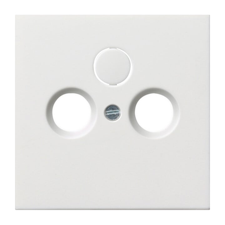 Gira Zentralplatte Antenne rws-gl 0869112