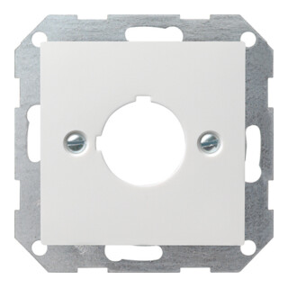 Gira Zentralplatte f.22,5 rws System55 027227