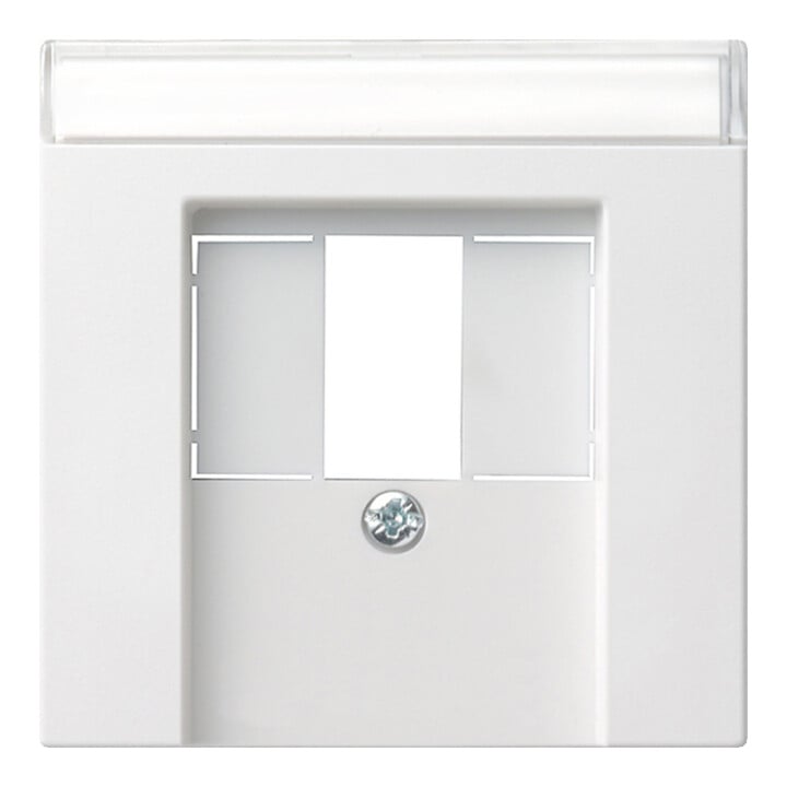 Gira Zentralplatte rws-gl f. TAE-Steckdose 087603