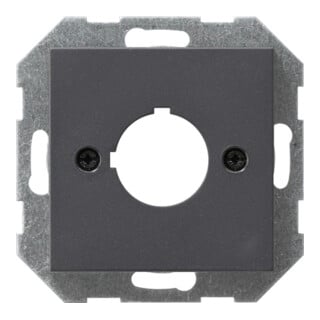Gira Zentralplatte System55 22,5mm anthrazit 027228