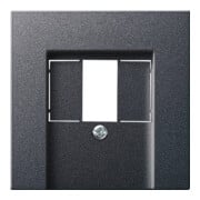 Gira Zentralplatte TAE anth System55 027628-3