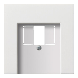 Gira Zentralplatte TAE rws-gl 0276112