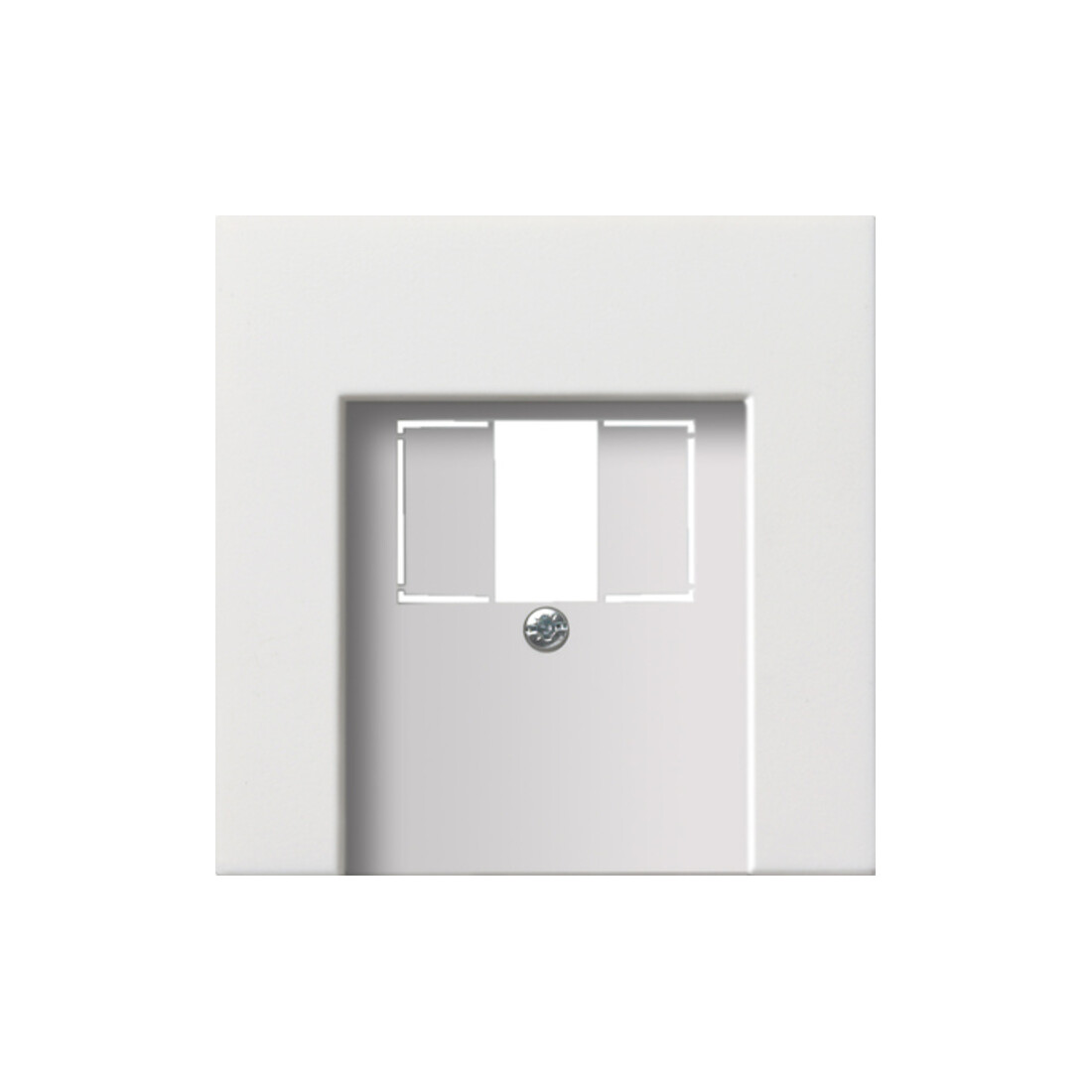 Gira Zentralplatte TAE rws-gl 0276112