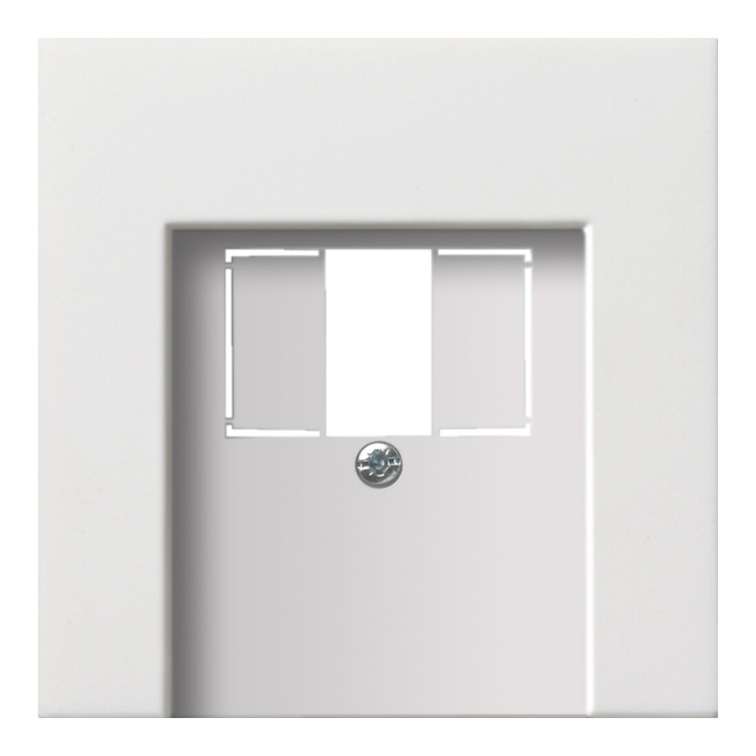 Gira Zentralplatte TAE rws-gl 0276112