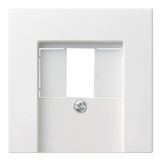 Gira Zentralplatte TAE rws System55 027627
