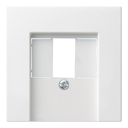 Gira Zentralplatte TAE rws System55 027627