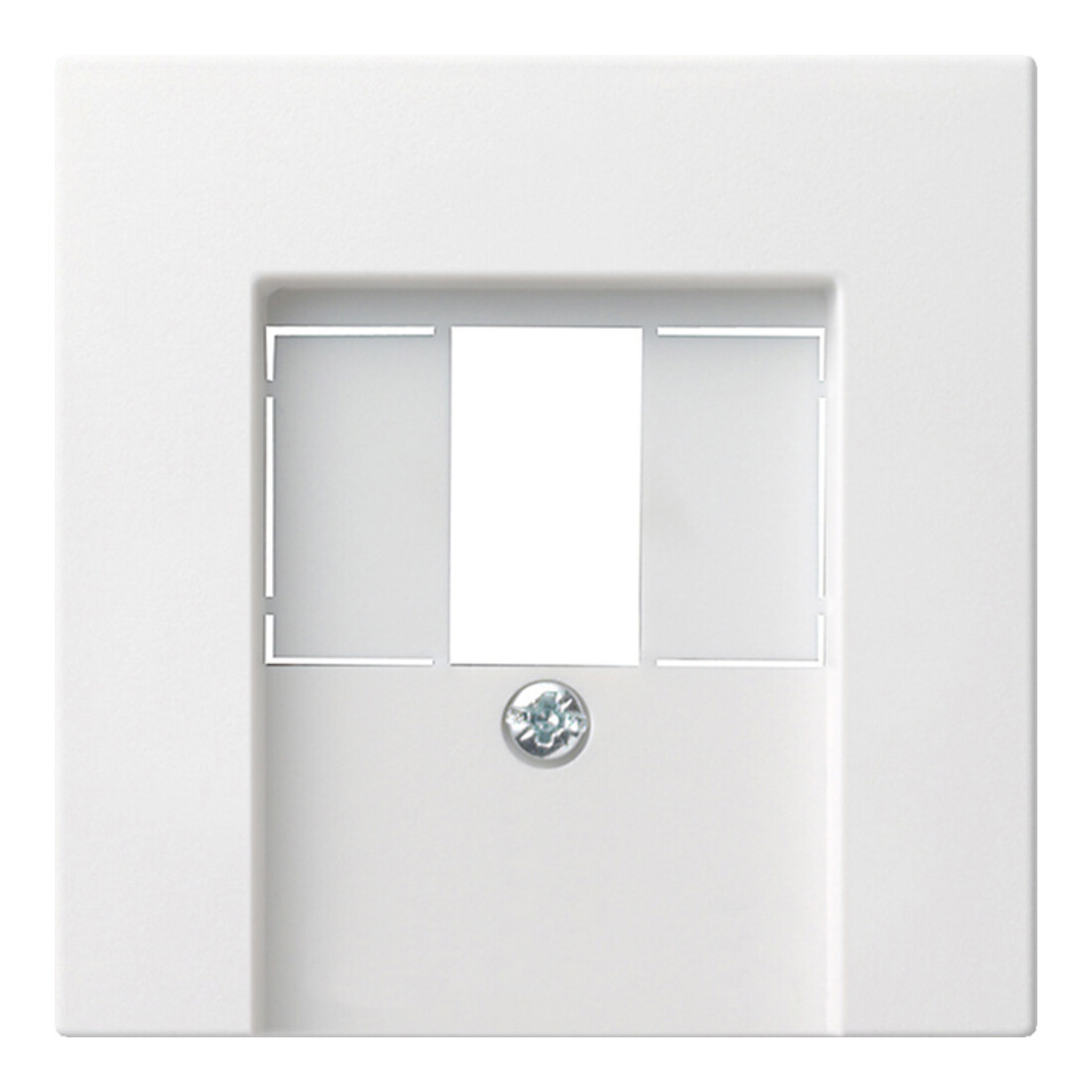Gira Zentralplatte TAE rws System55 027627