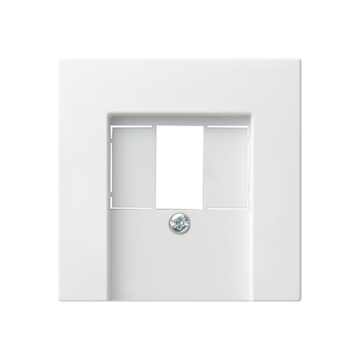 Gira Zentralplatte TAE rws System55 027627