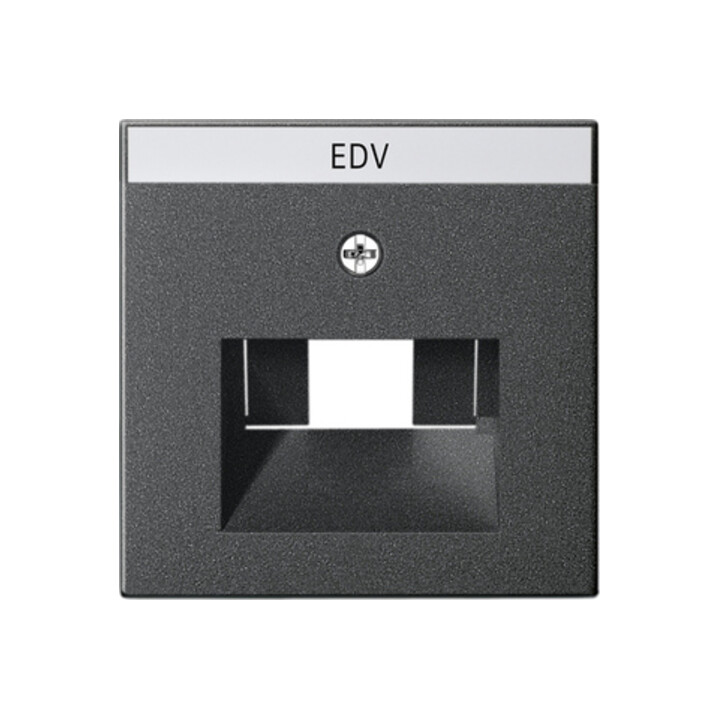 Gira Zentralplatte UAE/IAE anth m.Schriftf.,System55 028428
