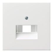 Gira Zentralplatte UAE/IAE rws/gl 0270112-3