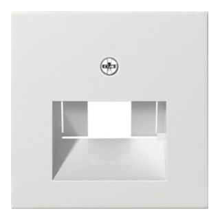 Gira Zentralplatte UAE/IAE rws System55 027027