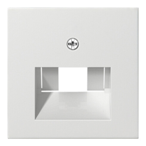 Gira Zentralplatte UAE/IAE rws System55 027027