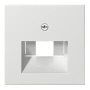Gira Zentralplatte UAE/IAE rws System55 027027-3