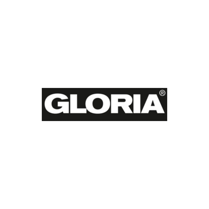 Gloria Pulverfeuerlöscher 12kg aufladb.Brandkl.55 A 233 B C m.Wandh.