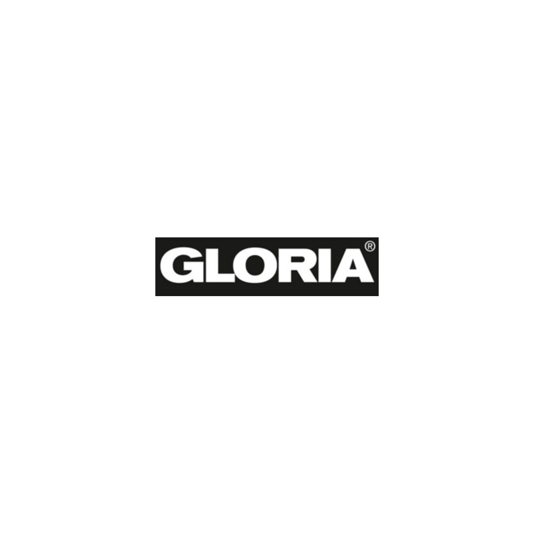 Gloria Pulverfeuerlöscher 12kg aufladb.Brandkl.55 A 233 B C m.Wandh.