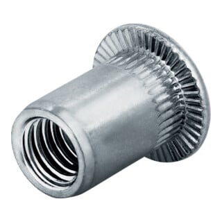Goebel Blindnietmutter Edelstahl Flachrundkopf M8 Klemmbereich 3,0-5,5mm