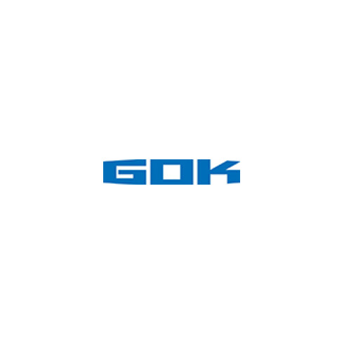 Gok Tuyau flexible MD G1/4LHxG1/4LHx1000