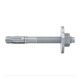 Goujon d'ancrage fischer FBZ 12/10 GS