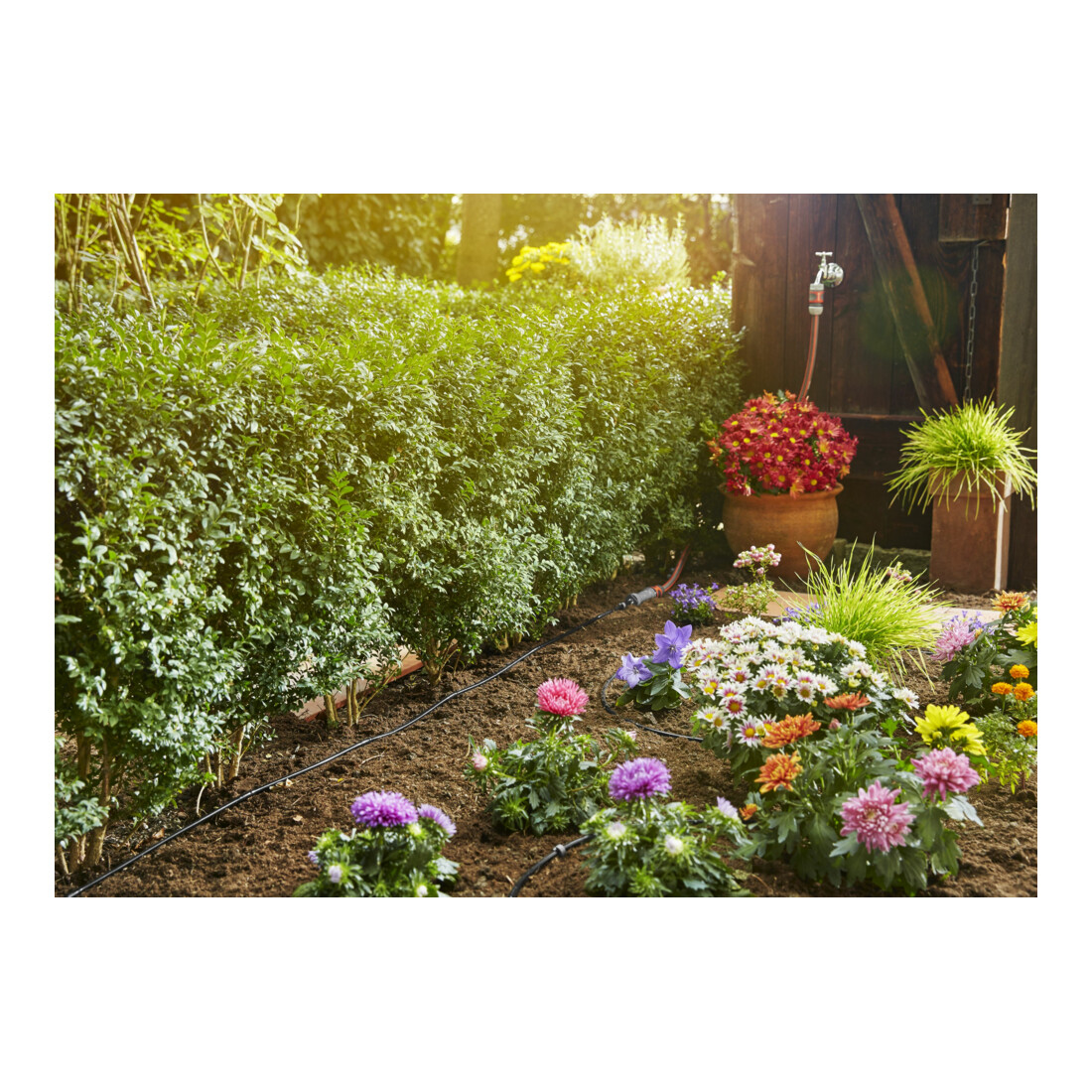 Goutteur aérien Micro-Drip-System GARDENA 4,6 mm (3/16"), 1,5 l/h, 15 m, sans robinetterie