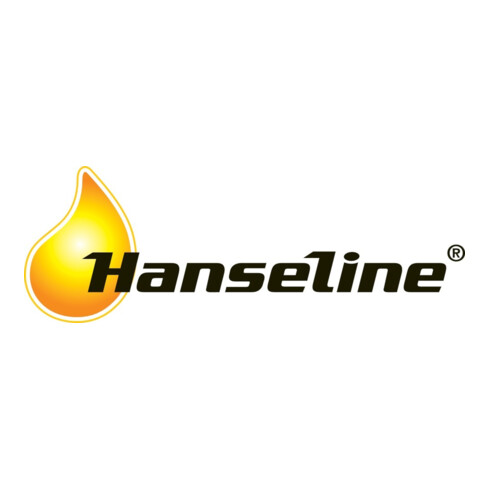 Graphit-Zerstäuber 100ml HANSELINE