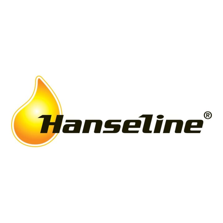 Graphit-Zerstäuber 100ml HANSELINE