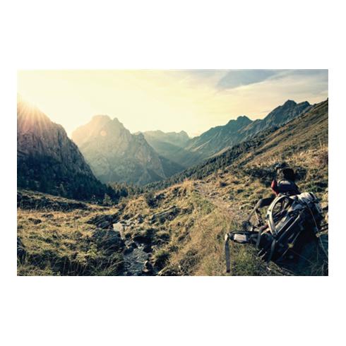 Northland Jacke Gravity Pro Stormstop FLC royal blau