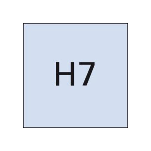 Grenzlehrdorn DIN2245H7 42mm