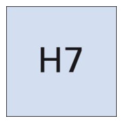 Grenzlehrdorn DIN2245H7 9mm