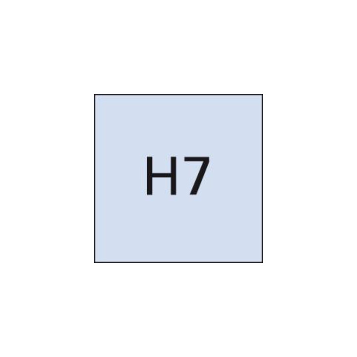 Grenzlehrdorn DIN2245H7 9mm