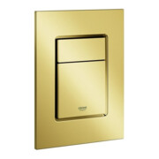 Grohe Abdeckplatte Skate Cosmopolitan S cool sunrise, senkrechte Montage