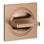 Grohe Allure UP-Vanne supérieure coucher de soleil chaud brossé, avec levier