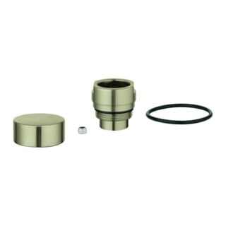 Grohe Bouton de sélection 46721 nickel brossé