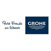 Grohe Ensemble brosse WC Essentials mural, fixation dissimulée, chrome-3