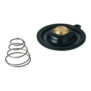 Grohe Membrane 43796 pour électrovanne 3/4"-1" Type B