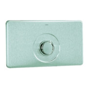 Grohe Platte und Druckknopf 42261 Edelstahl